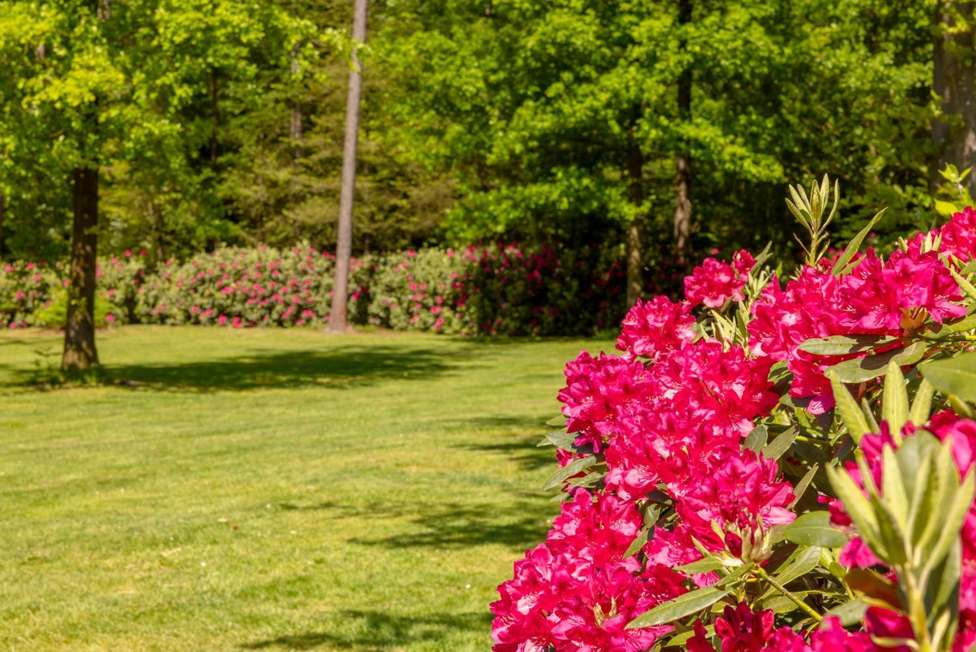 'T Borghuis Villa Losser Dış mekan fotoğraf