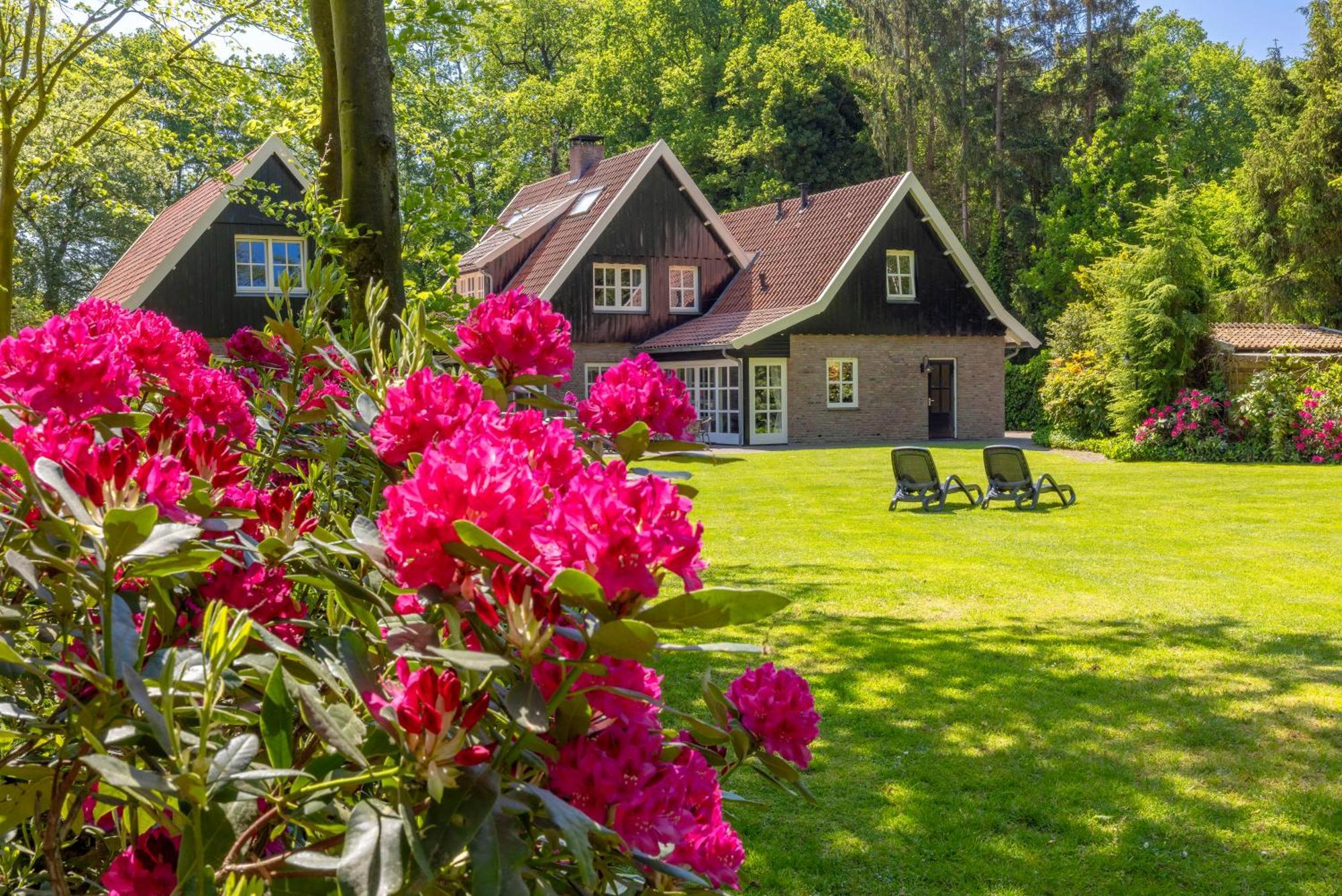 'T Borghuis Villa Losser Dış mekan fotoğraf